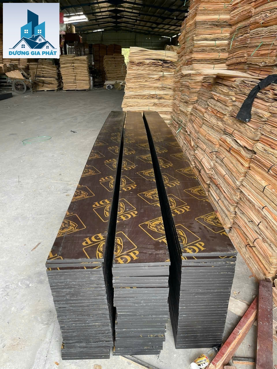 Cốp pha phim 4 mét: quy cách 150–700 mm, giá và cách chọn cho cột, dầm