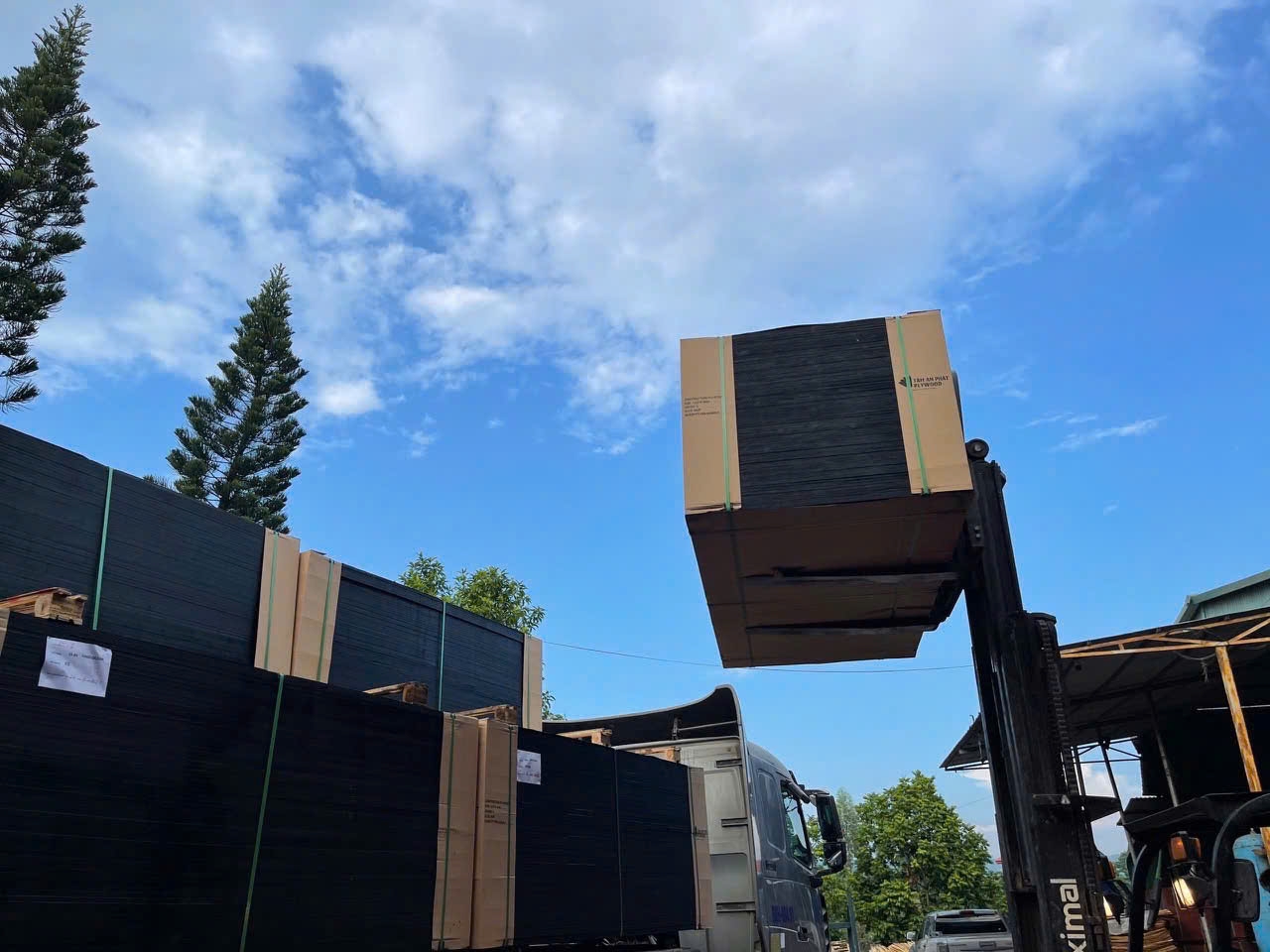 Cung Cấp Dự Án Phú Quốc Vin Pearl Sắt Hộp và Ván Phim 18mm 