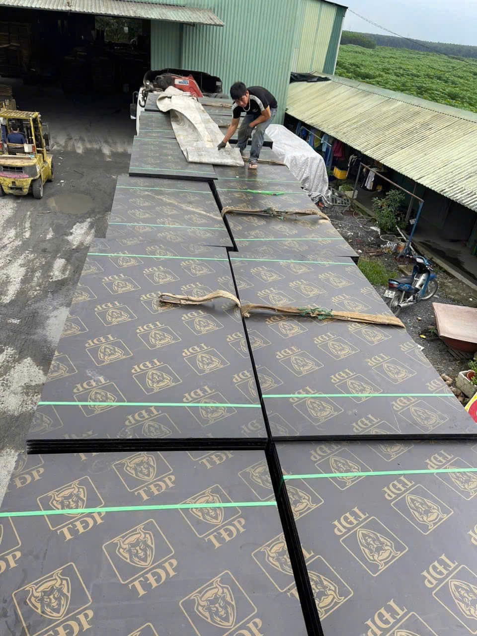 Ván ép phủ phim 18mm 1000x2000 & ván ép phủ keo 18mm 1000x2000