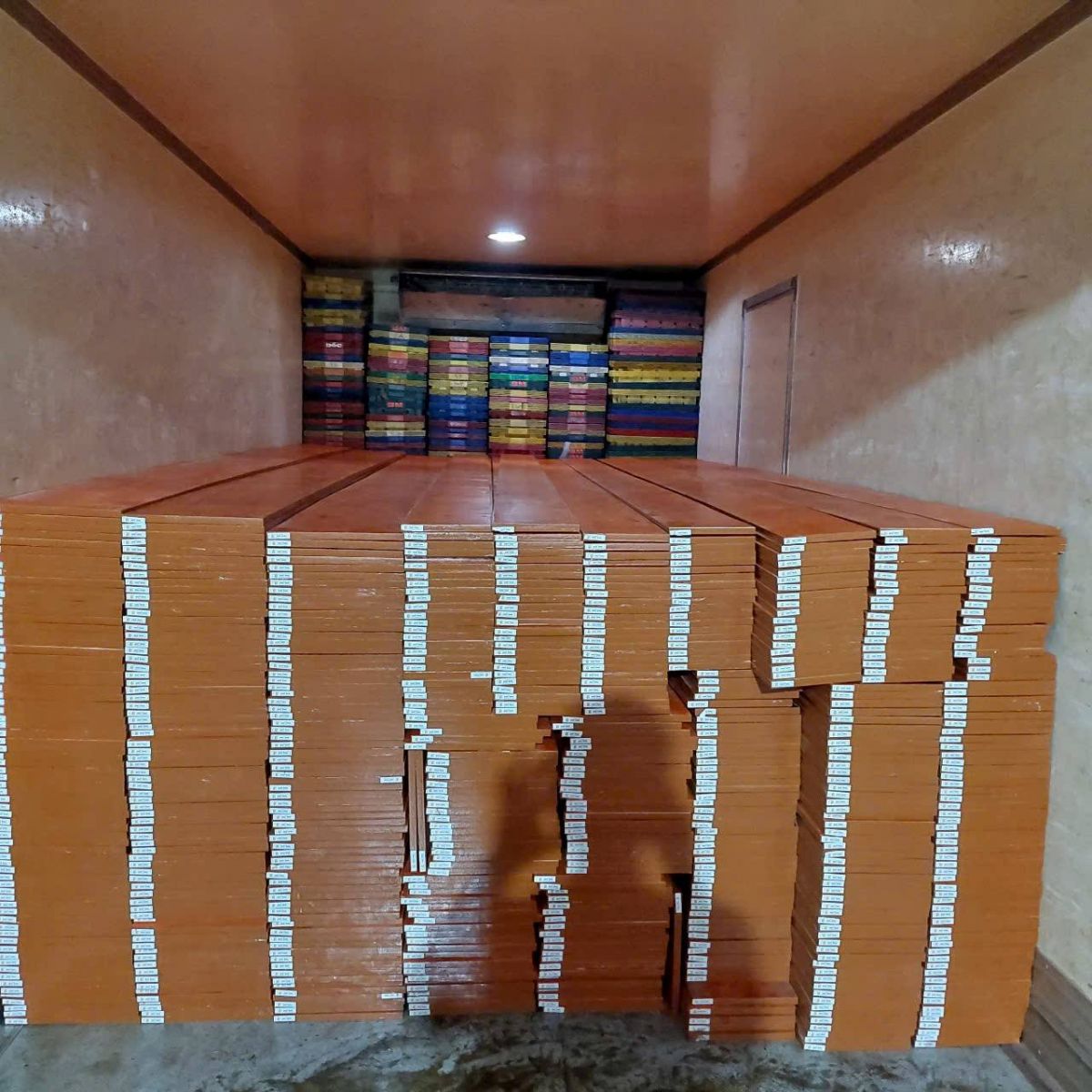 485617707_1042419314574589_1337341342991